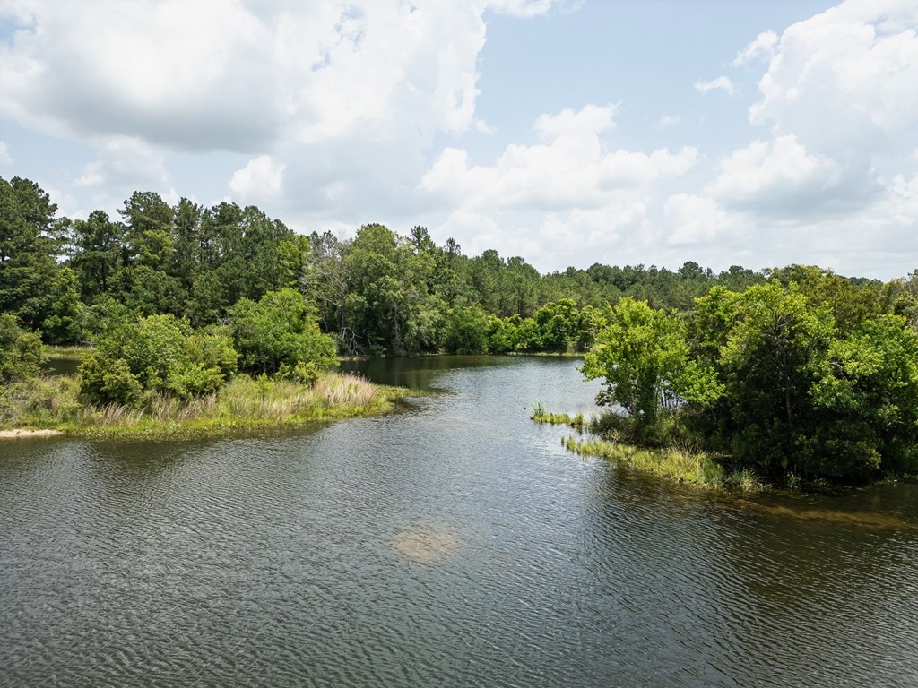 Clear Lake Land in East Feliciana Parish, Louisiana