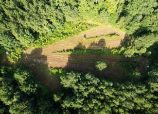 Hunting Land in Woodville, MS – 125 Acres for Sale