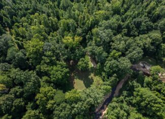 Hunting Land in Claiborne County, MS – The Reagan Tract