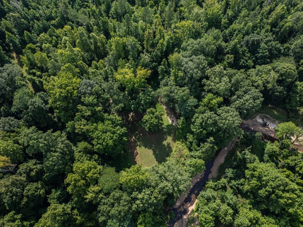 Hunting Land in Claiborne County, MS – The Reagan Tract