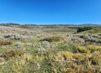 Colorado Hunting and Recreation Land