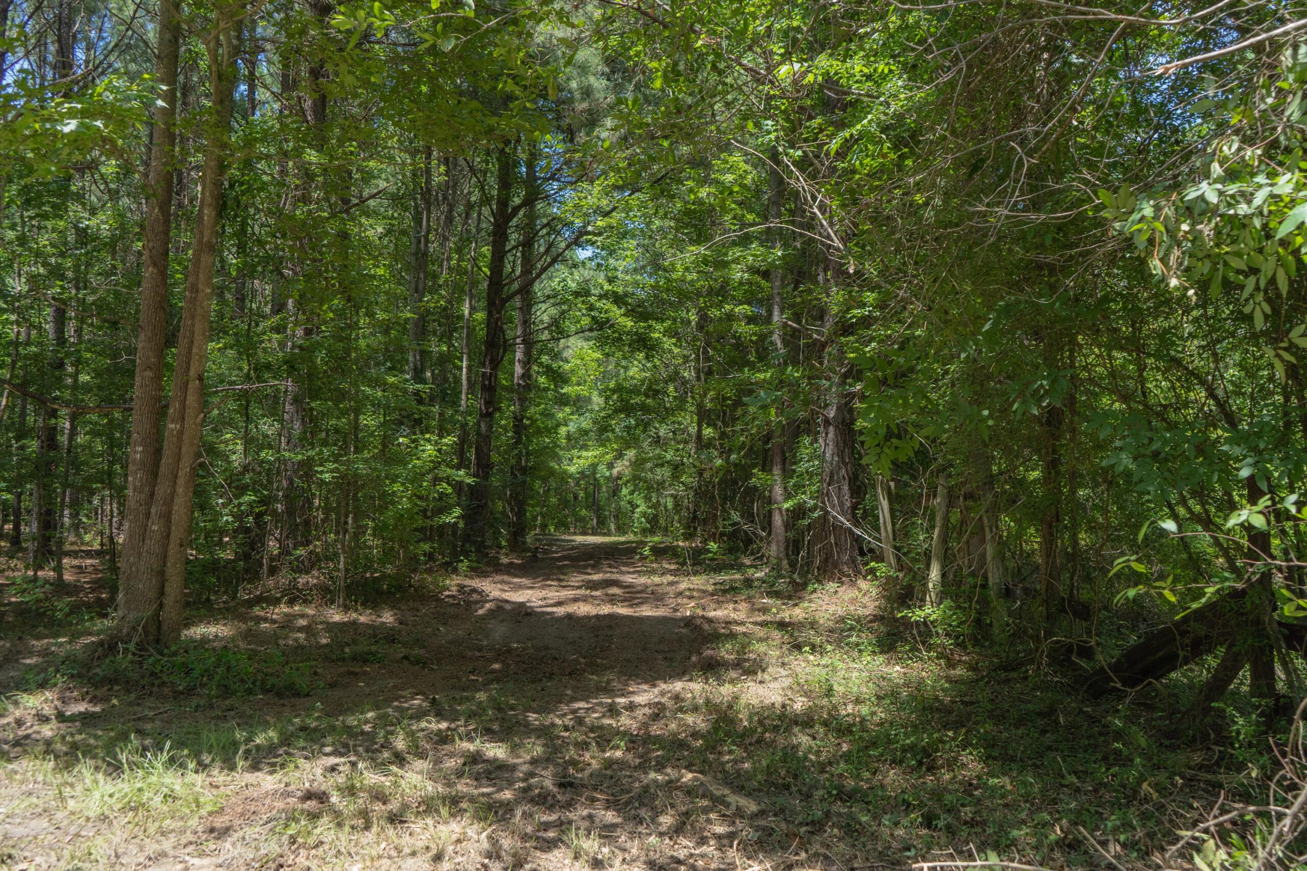 Lapine 216 Multi Use Recreational Timber – Ouachita Parish