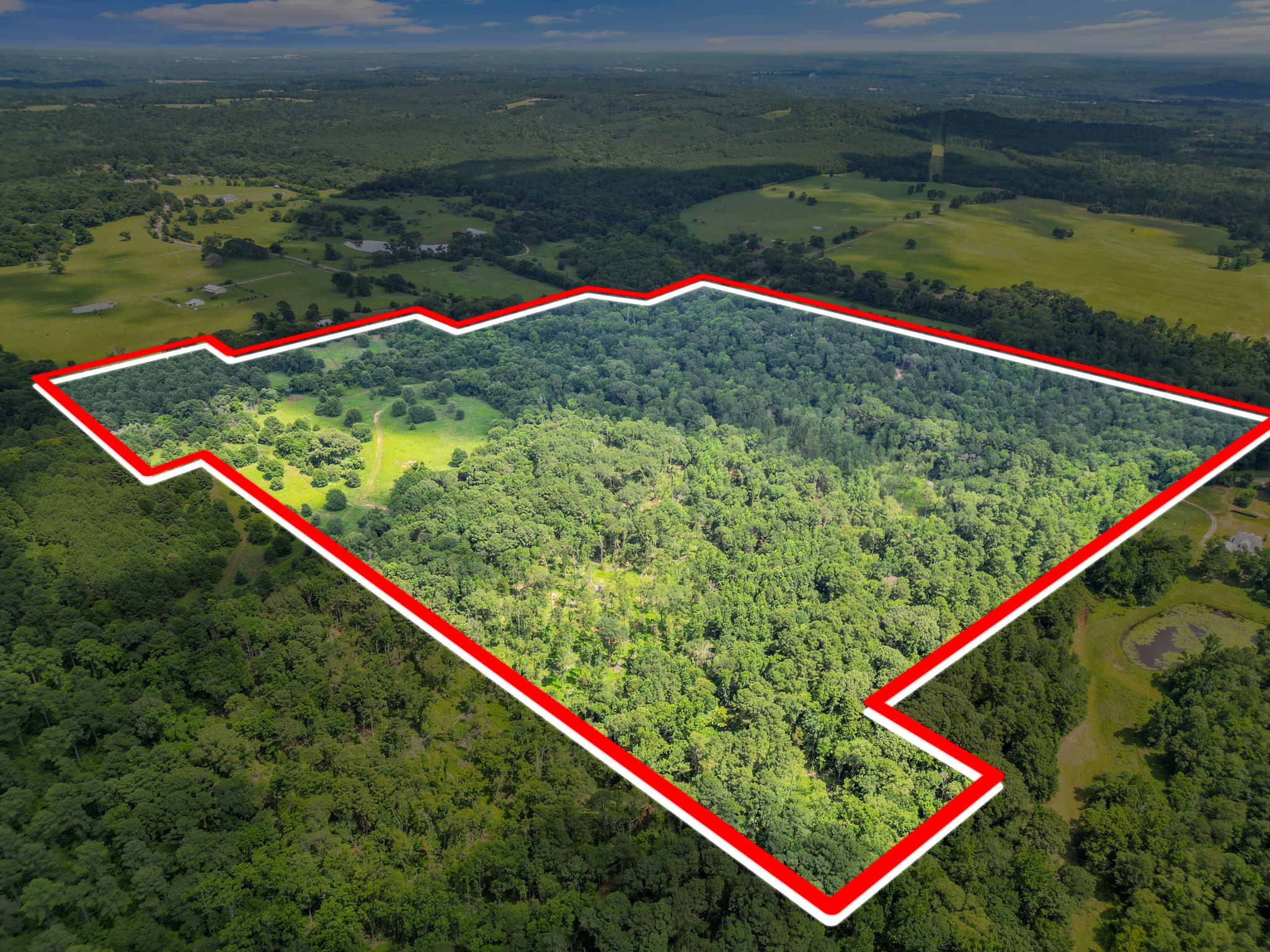 Texas Recreational Hunting Ranch for Sale East of Dallas
