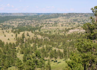 Pine Ridge Sanctuary-Premier Montana Hunting Land near Billings