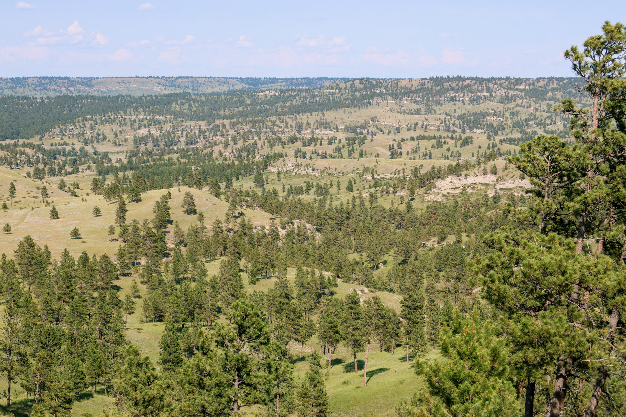 Pine Ridge Sanctuary-Premier Montana Hunting Land near Billings