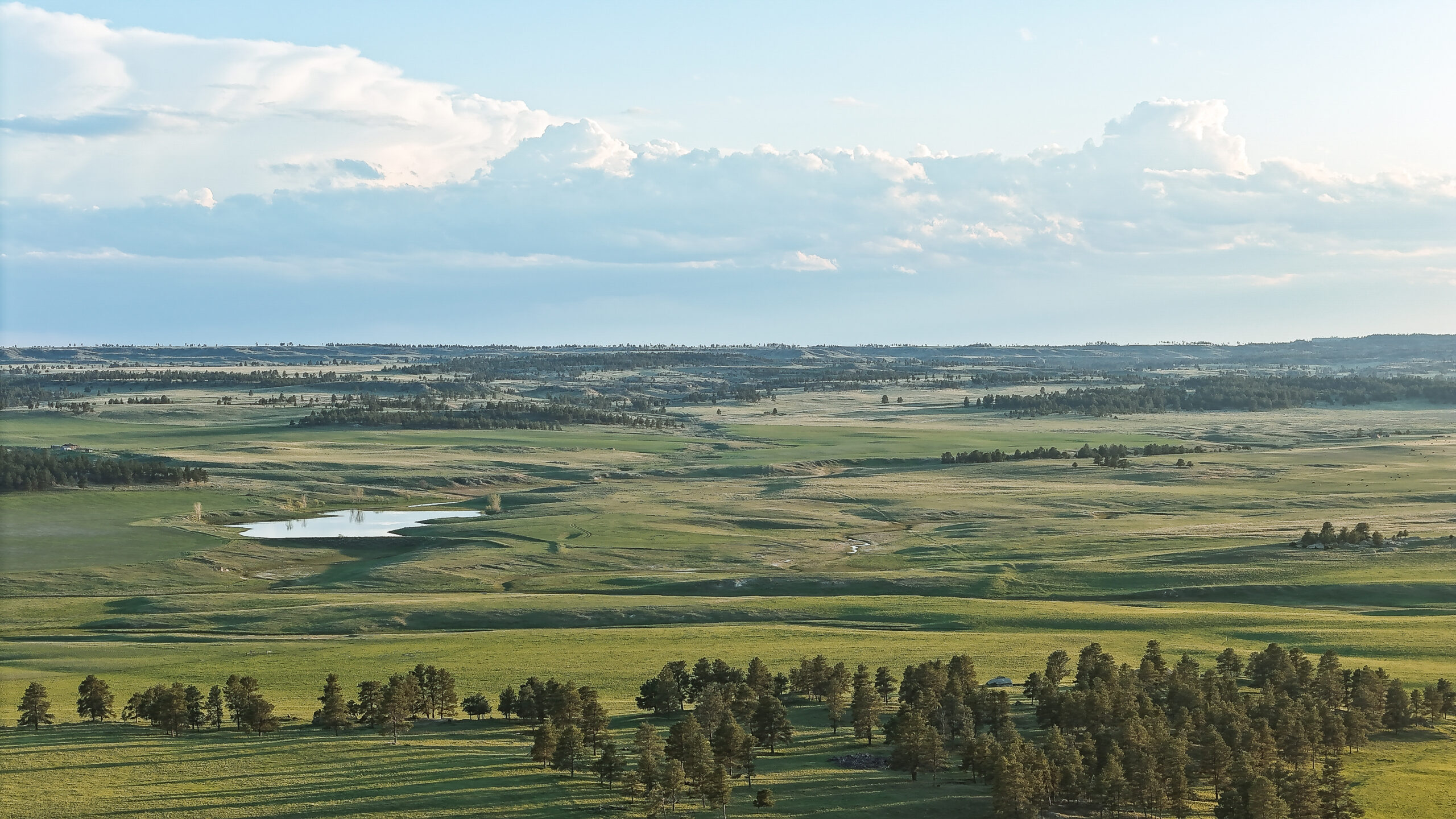 Windancer Ranch | | Custer, Montana