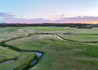 Buffalo Creek Ranch