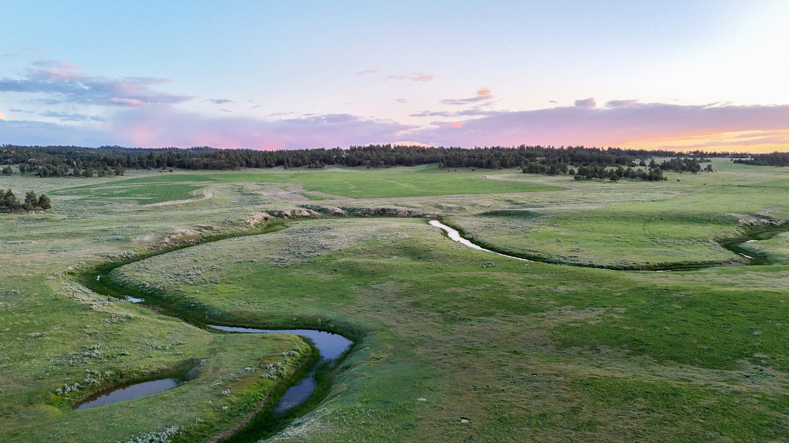 Buffalo Creek Ranch