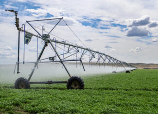 East Malta Irrigated Farm & Ranch – The Hould Property