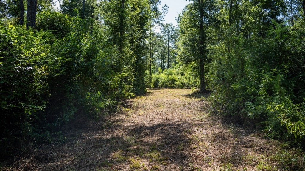 Osyka MS Hunting Land with Pond – Pike 38