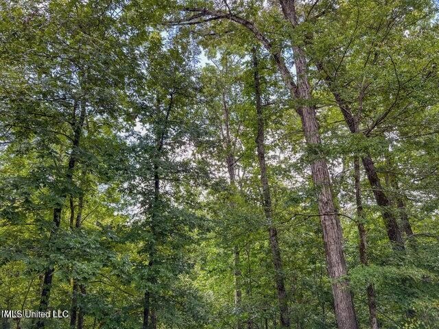 95 Acres of Prime Hunting Property in Hinds County