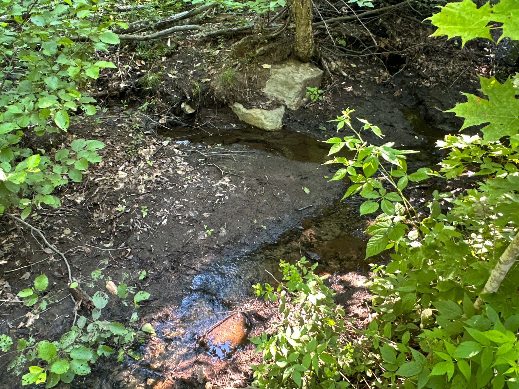 80± Acres of Off-Grid Mountain Land in Mount Chase, Maine