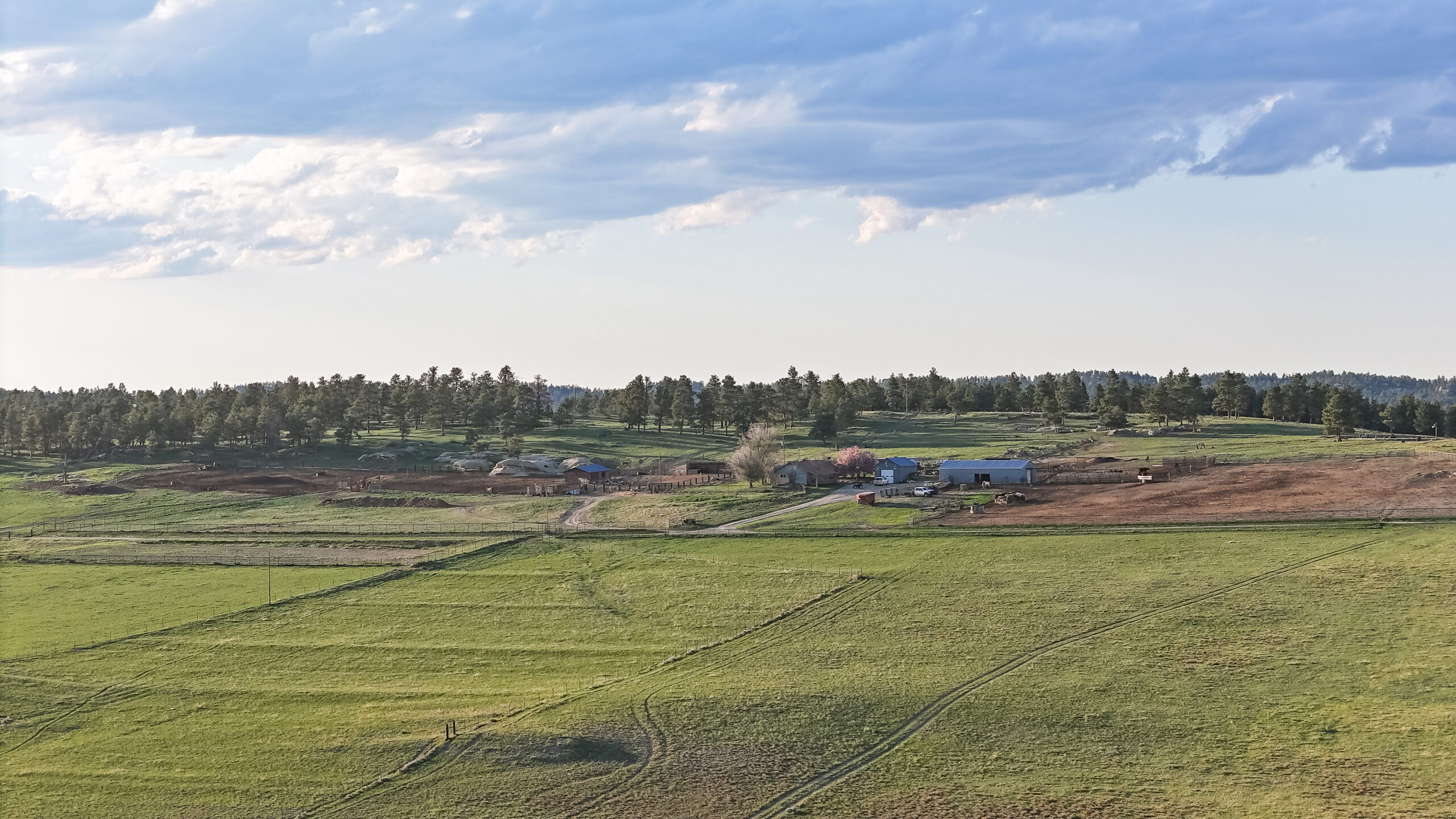 Windancer Ranch | | Custer, Montana