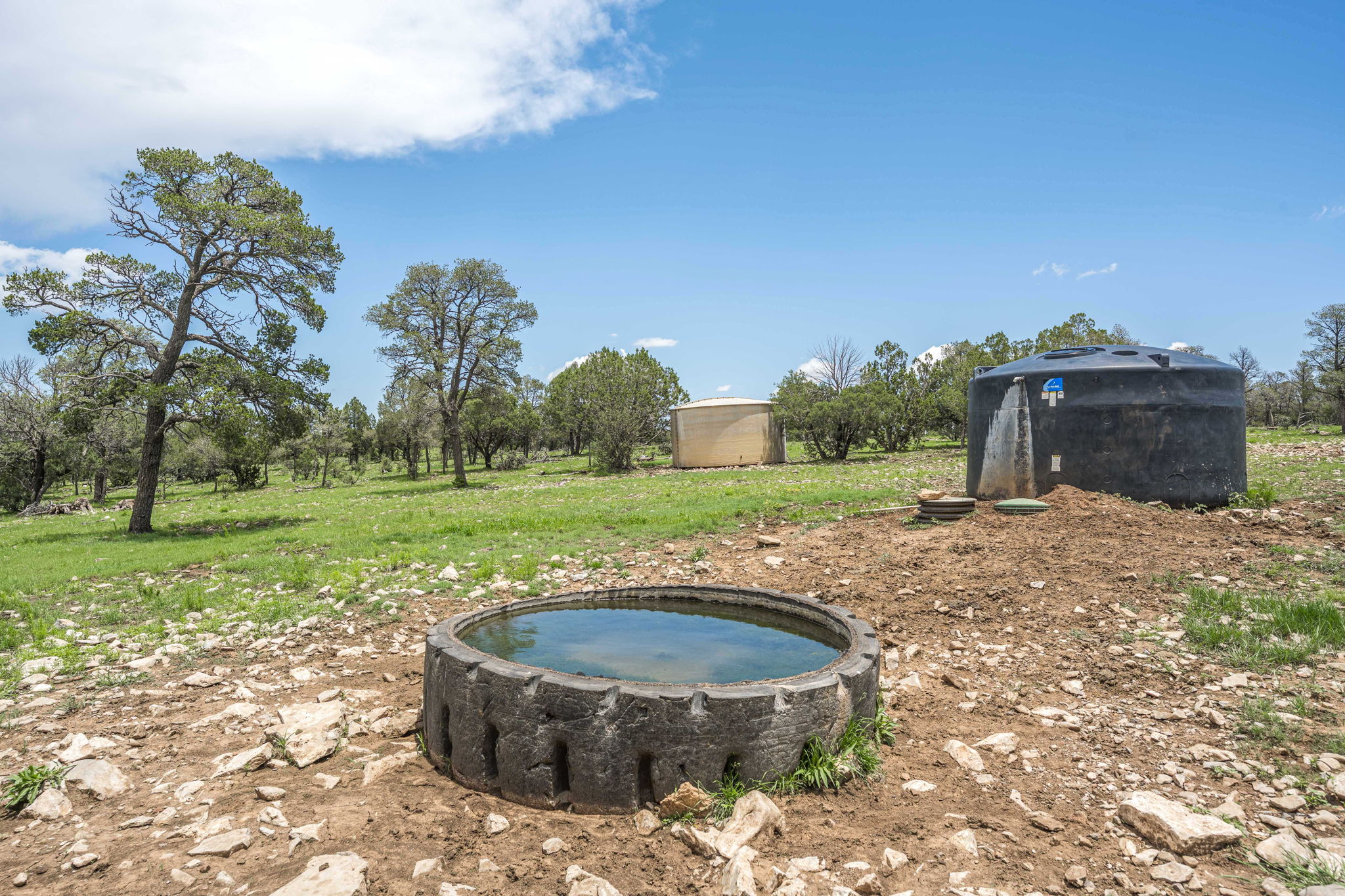 Cattle & Hunting Ranch for Sale in Weed, NM