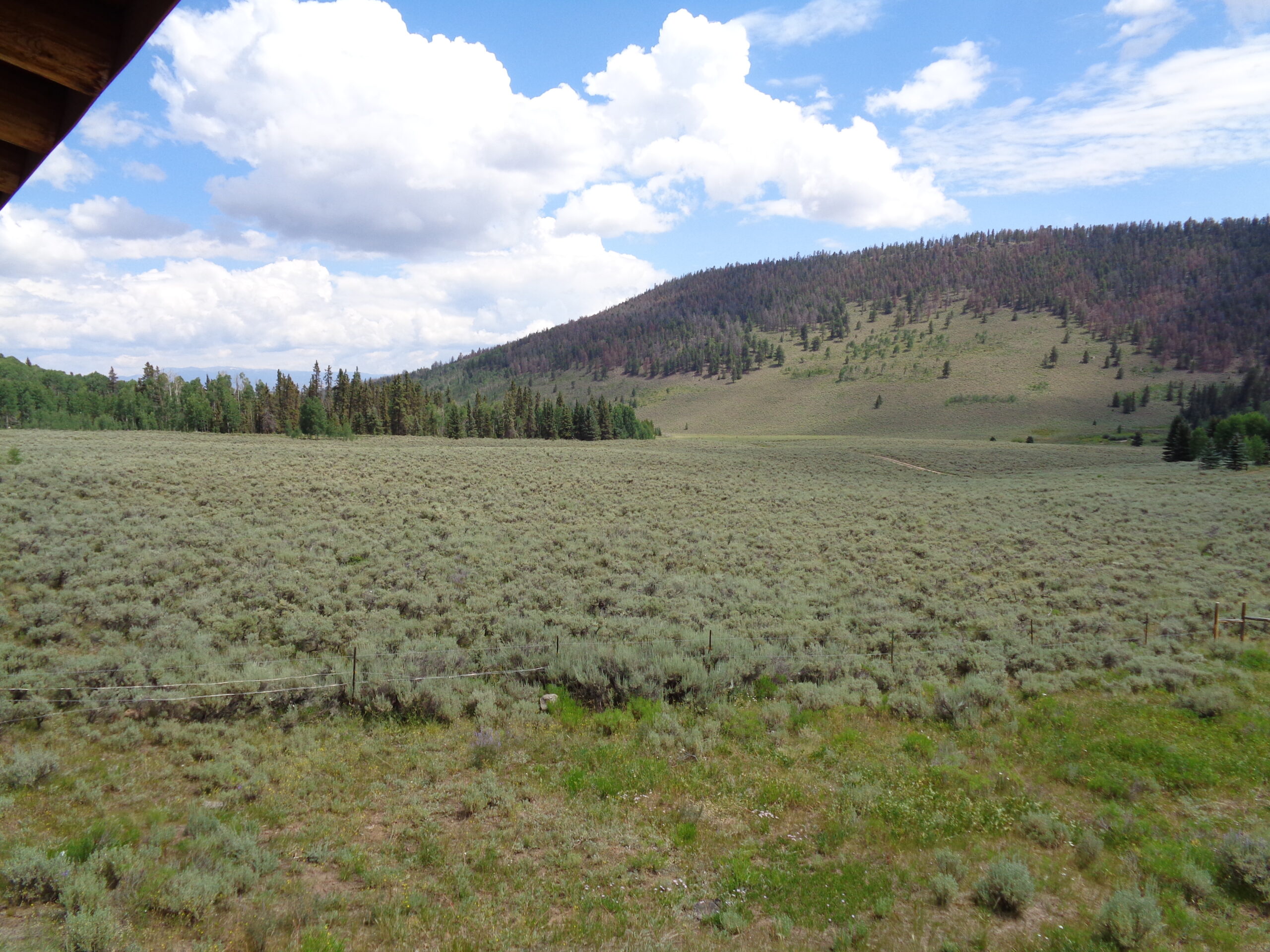 Cabin For Sale on 73 Acres in Colorado in GMU 66