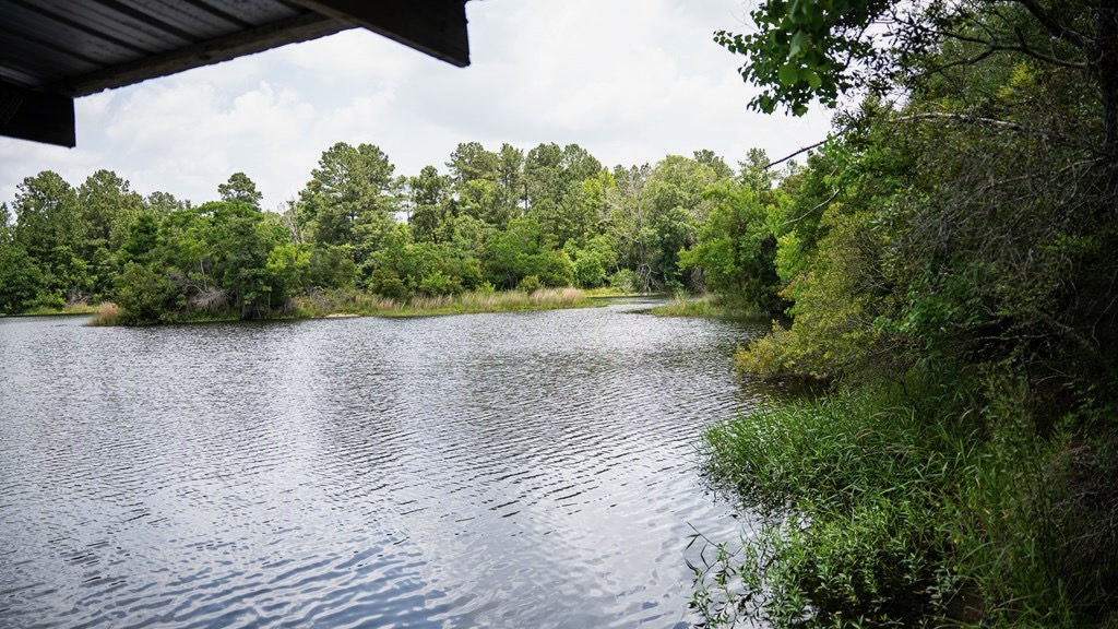 Clear Lake Land in East Feliciana Parish, Louisiana