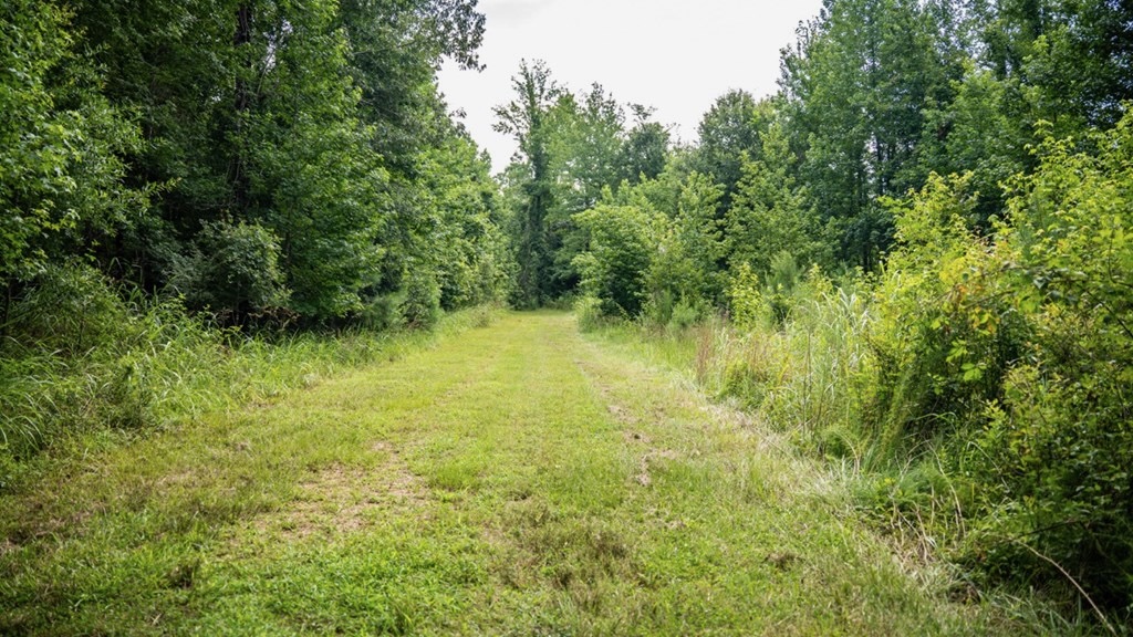 Hunting Land in Claiborne County, MS – The Reagan Tract