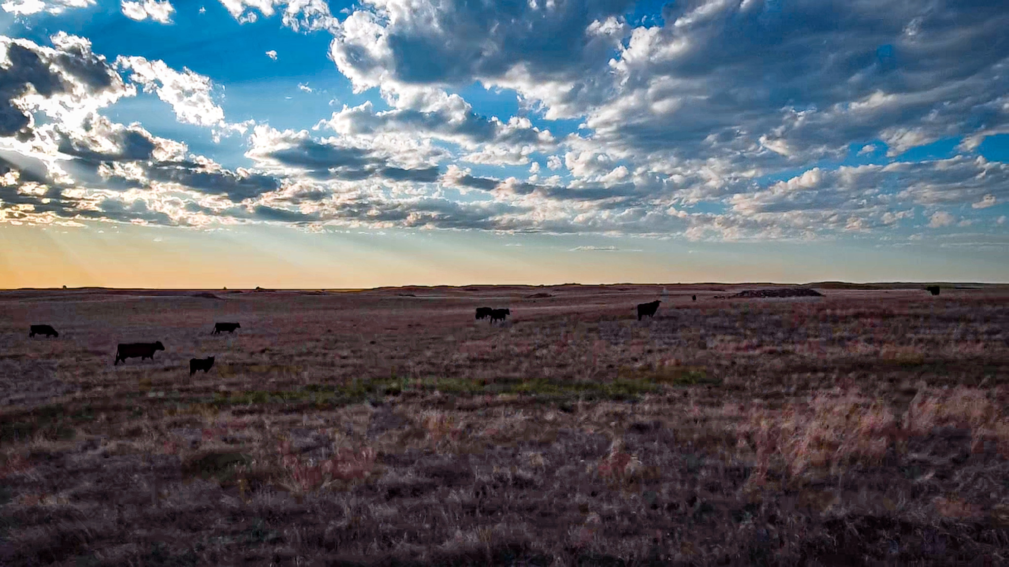 Norman Mavencamp Ranch