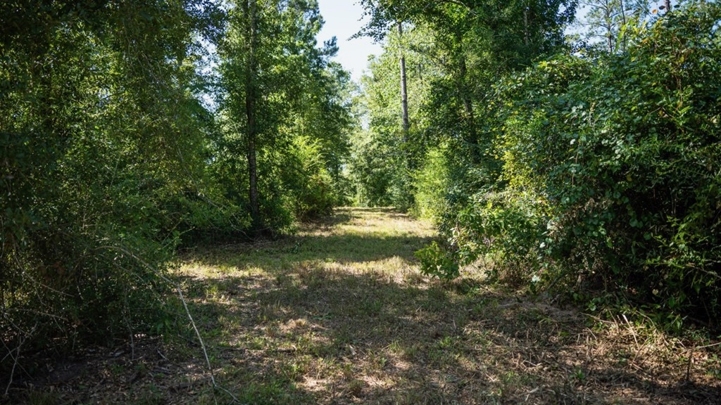 Osyka MS Hunting Land with Pond – Pike 38
