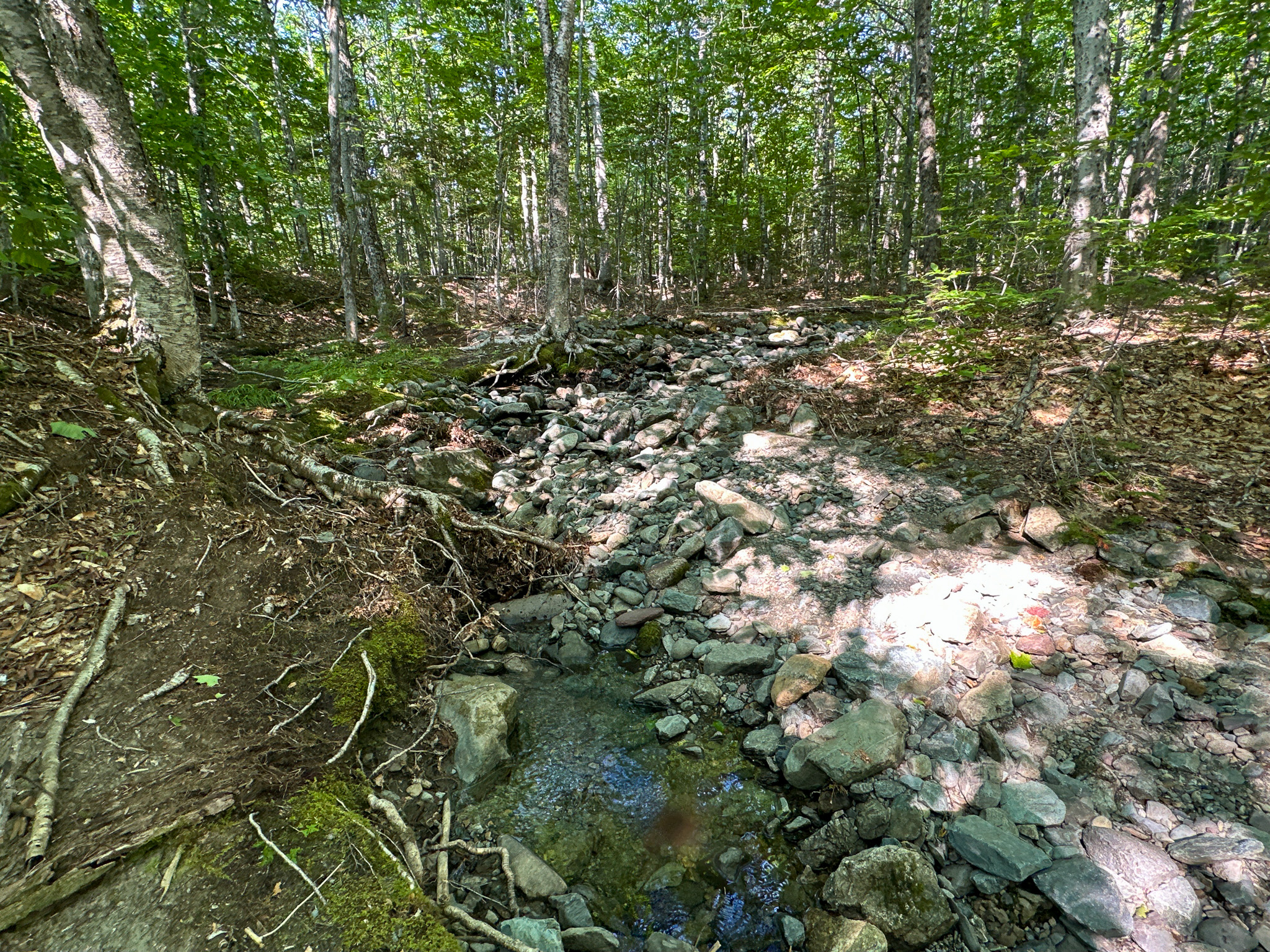 80± Acres of Off-Grid Mountain Land in Mount Chase, Maine