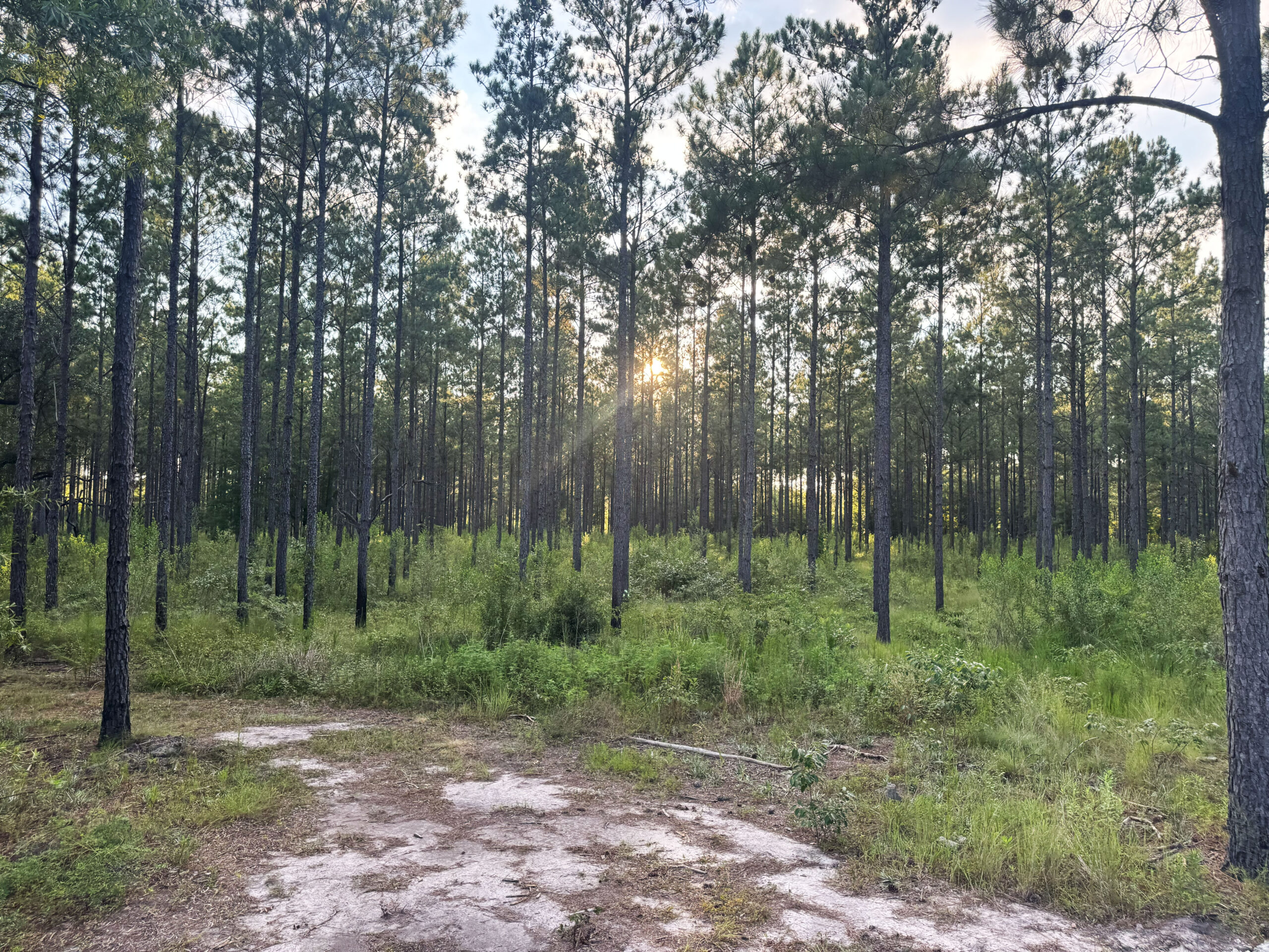 Recreational and hunting paradise located just outside Vada, GA in Decatur County