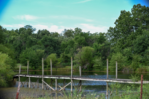 142+\- acres  For Sale El Dorado Springs MO