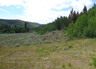 Cabin For Sale on 73 Acres in Colorado in GMU 66
