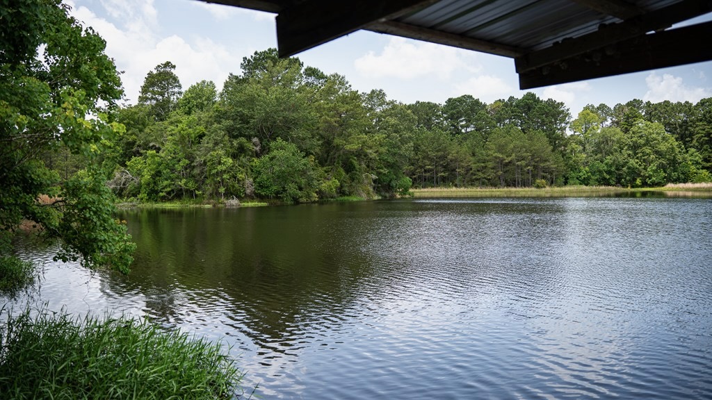 Clear Lake Land in East Feliciana Parish, Louisiana