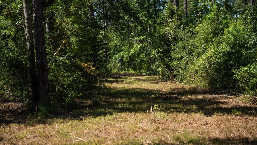 Osyka MS Hunting Land with Pond – Pike 38