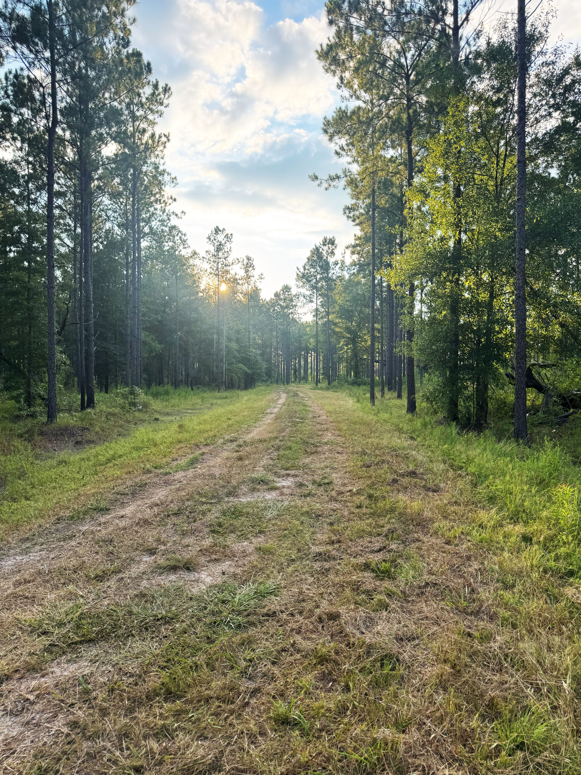 Recreational and hunting paradise located just outside Vada, GA in Decatur County