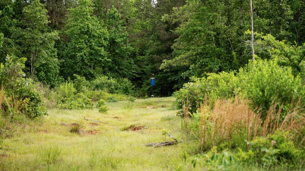 Catahoula 295 Acres – Enterprise, LA Hunting Land