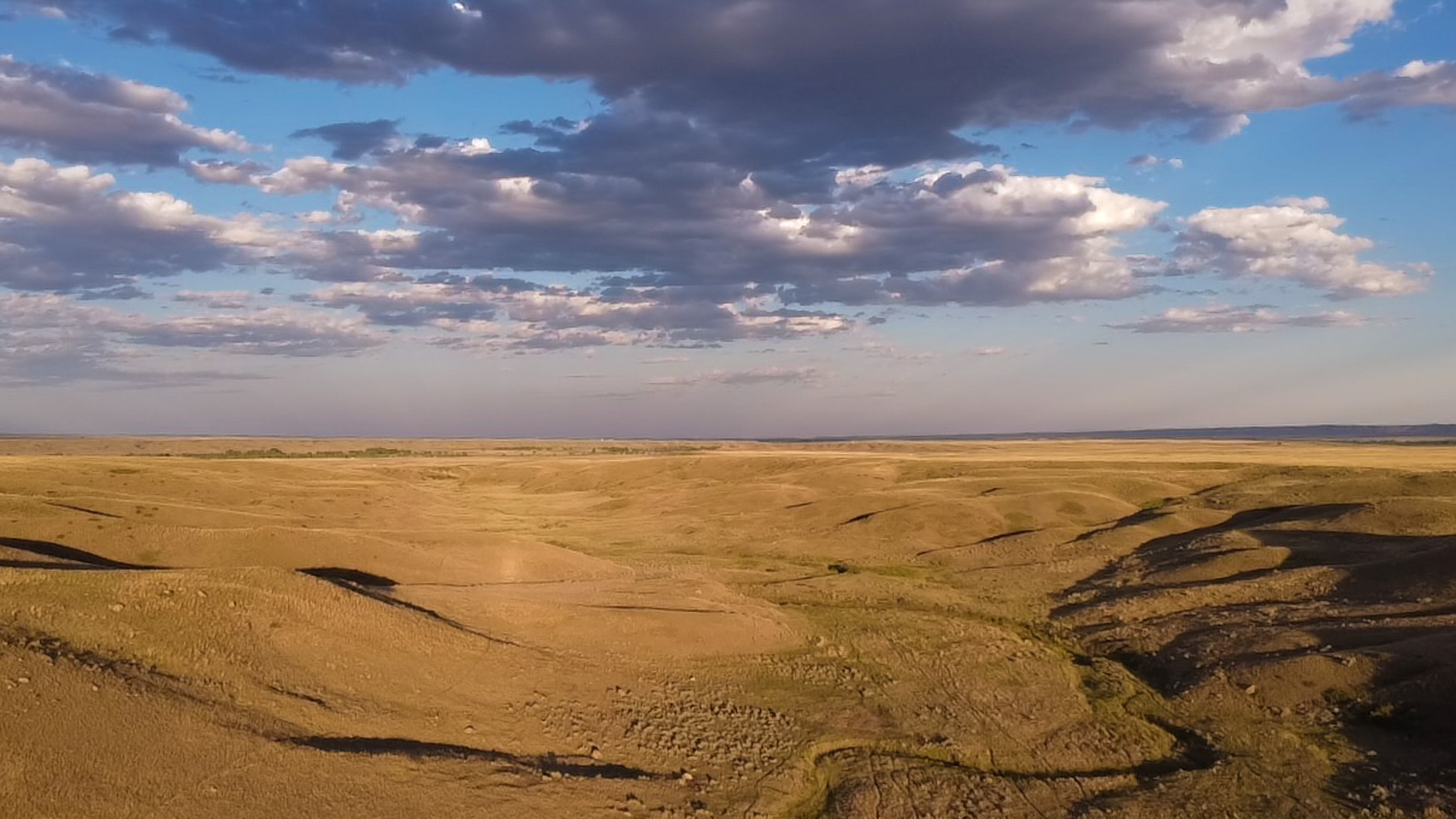 Norman Mavencamp Ranch