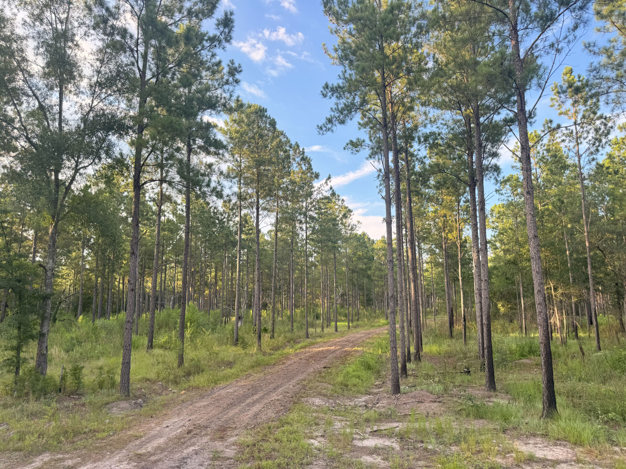 Recreational and hunting paradise located just outside Vada, GA in Decatur County