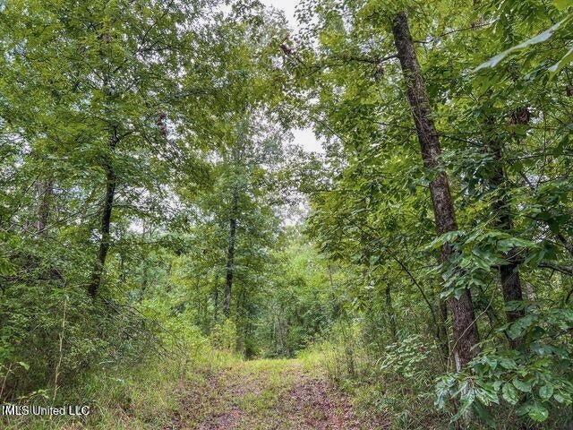 95 Acres of Prime Hunting Property in Hinds County