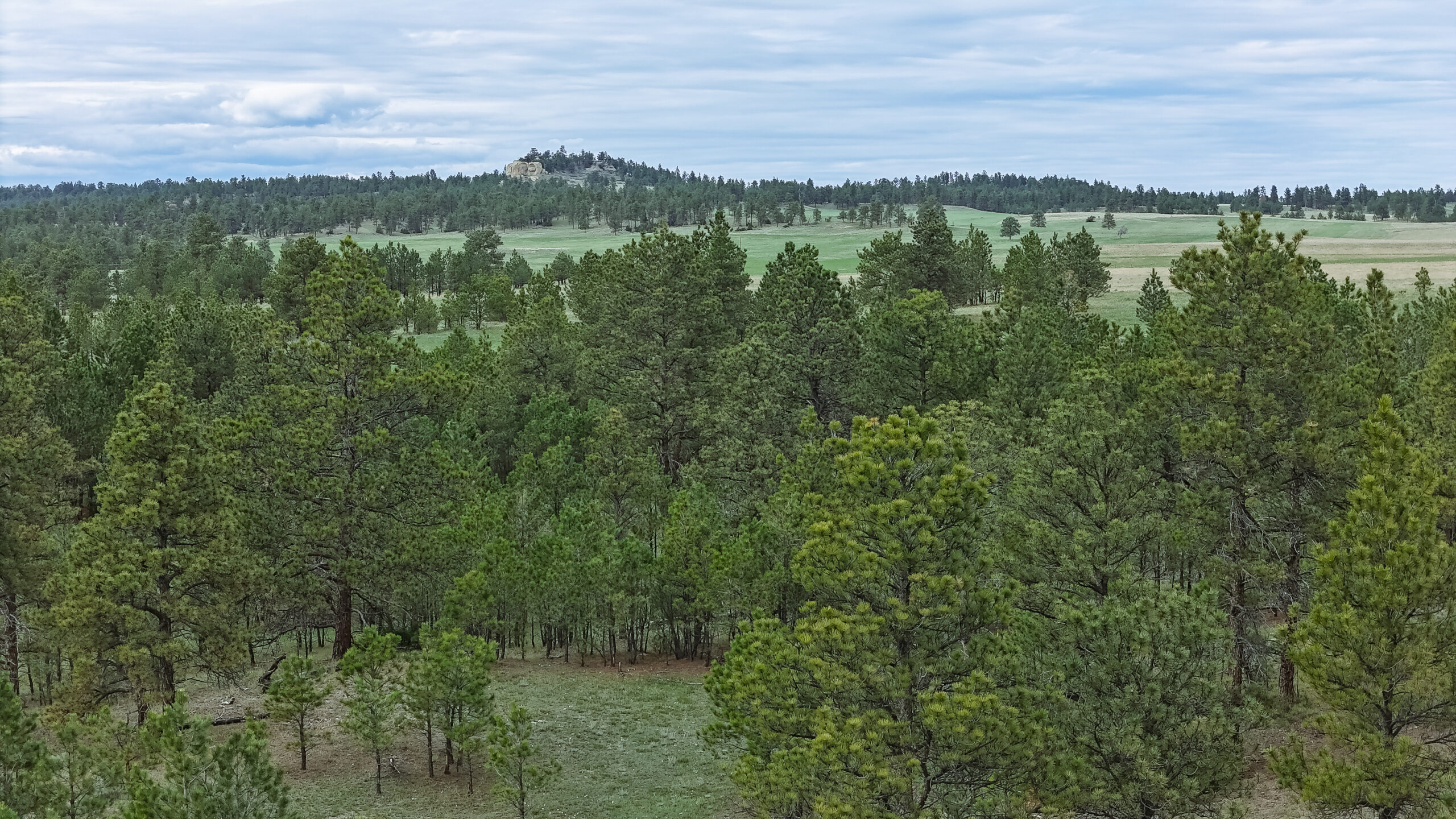 Windancer Ranch | | Custer, Montana