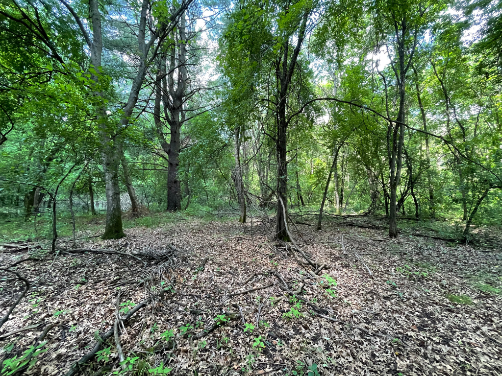 71.8-Acre Heavily Wooded Hunting Parcel with 4,500 Ft of St. Francis River Frontage