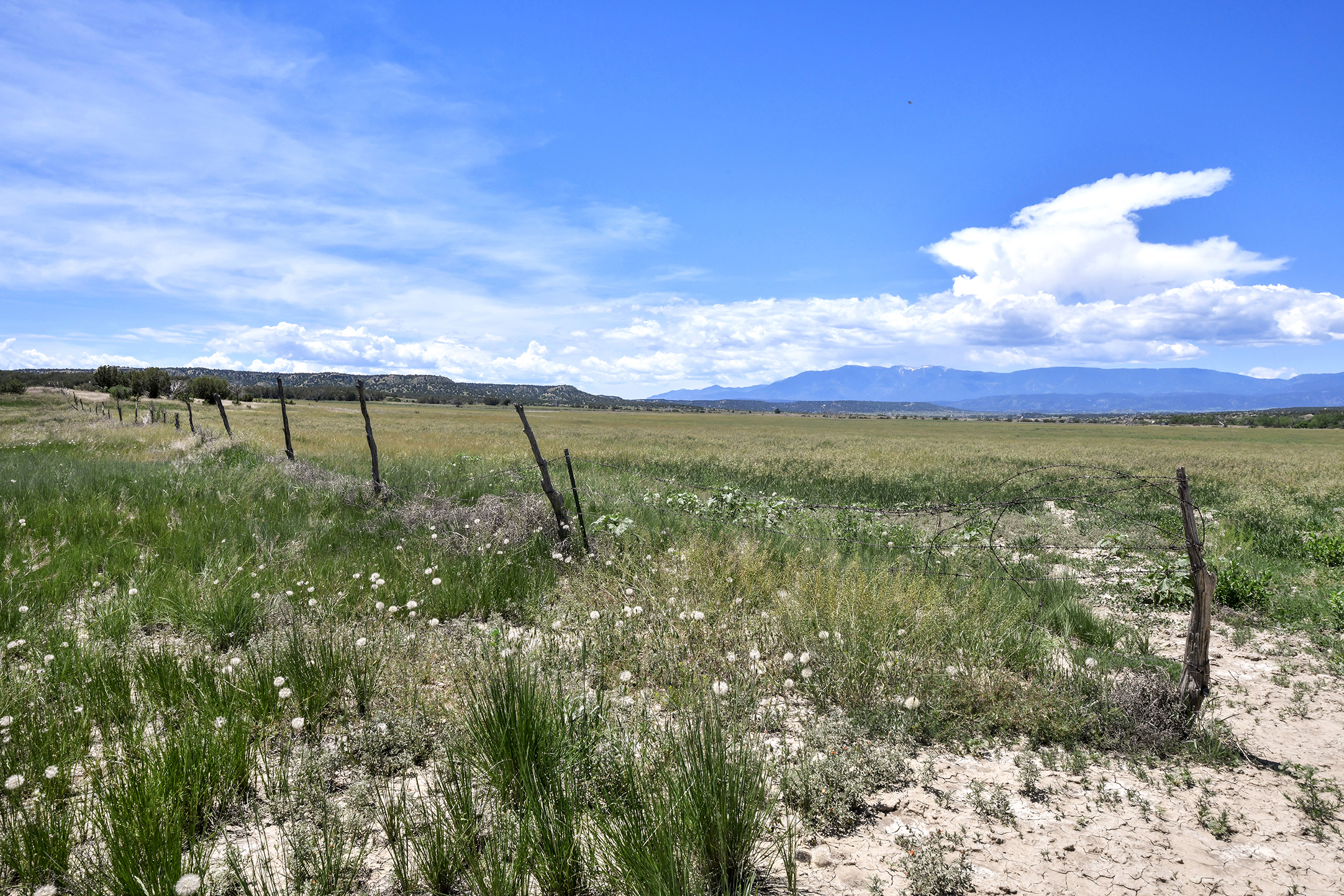 Burnt Mill Ranch – 643± Acres of Prime Colorado Ranchland