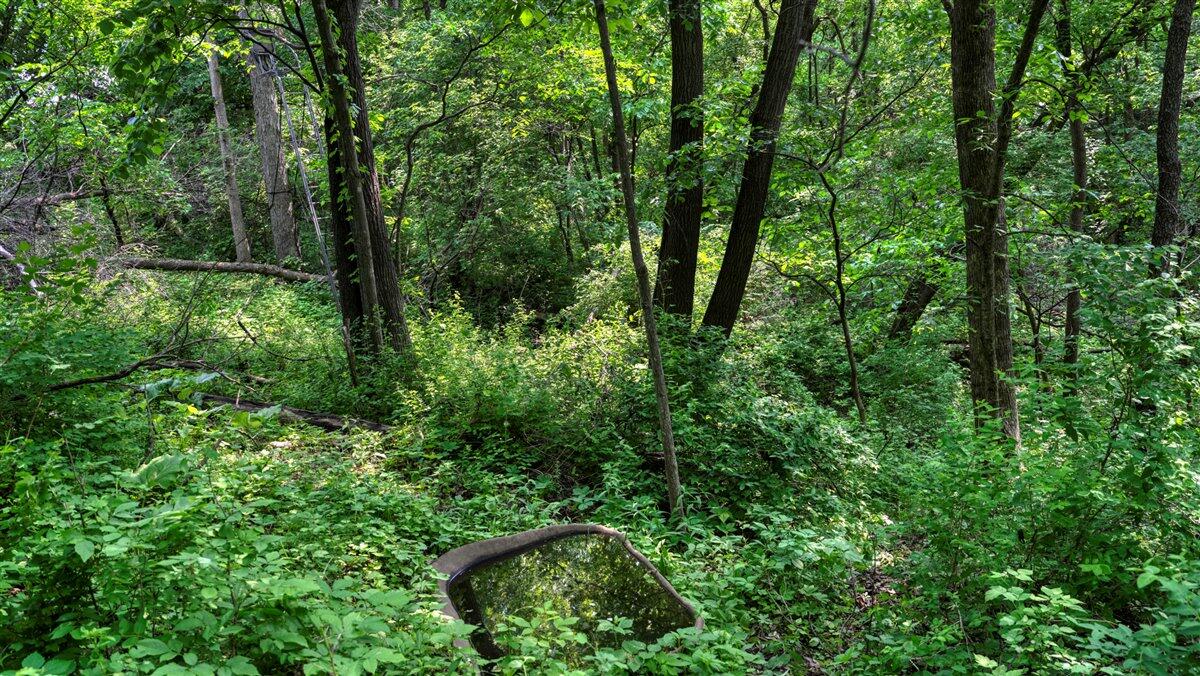 Twenty-One-Acre Hidden Gem in Vernon County WI