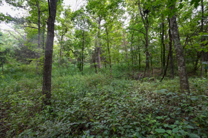 Land For Sale Barton County, MO 160± acres