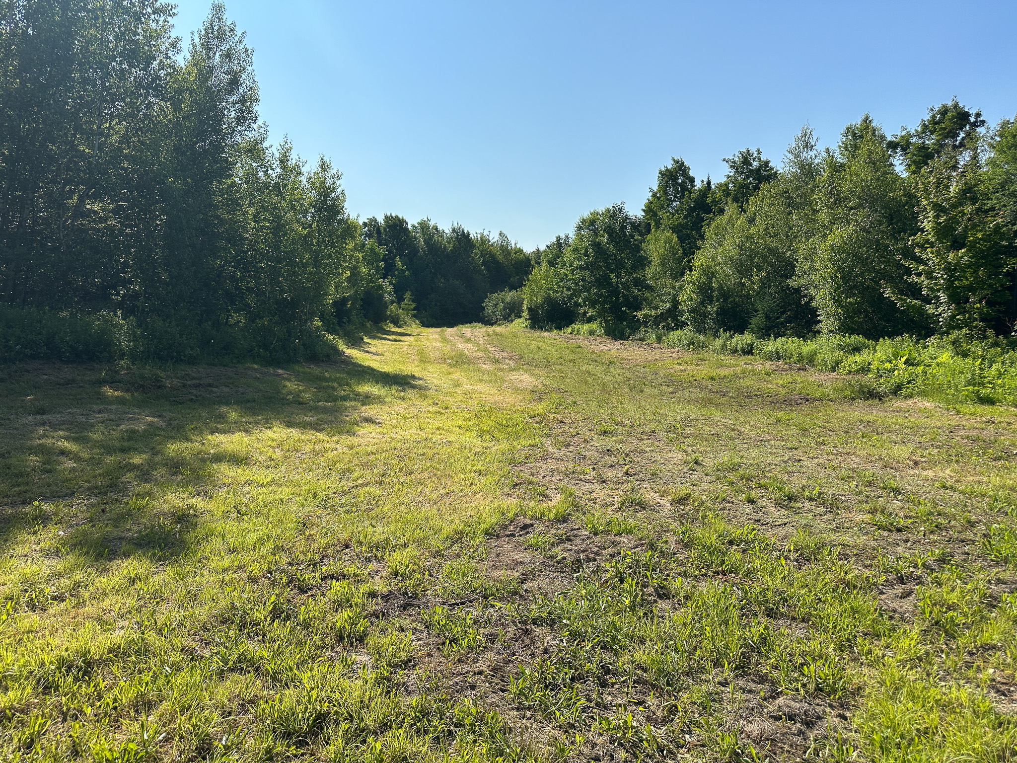 Maine Hunting and Recreational Timberland for Sale | 152± Acres in Carroll Plantation