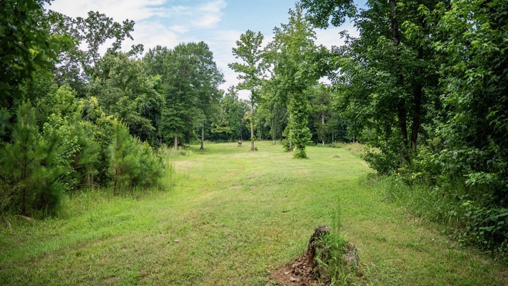 Hunting Land in Claiborne County, MS – The Reagan Tract