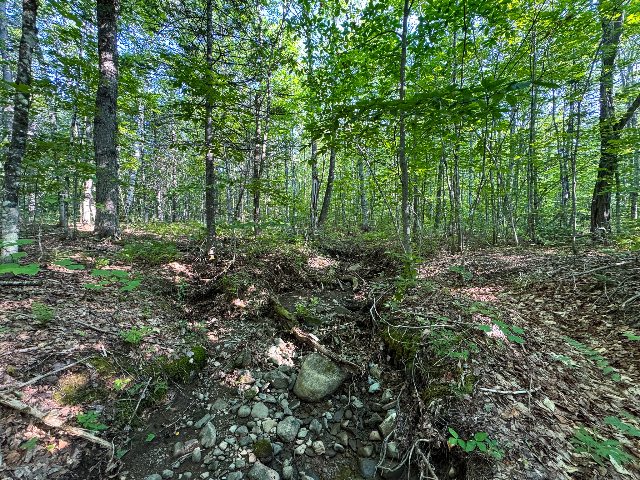 Off-Grid Cabin with 150± Acres Bordering Mount Chase