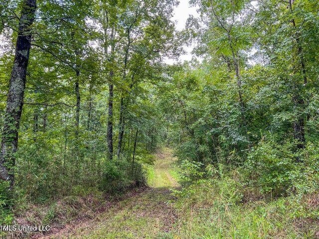 95 Acres of Prime Hunting Property in Hinds County