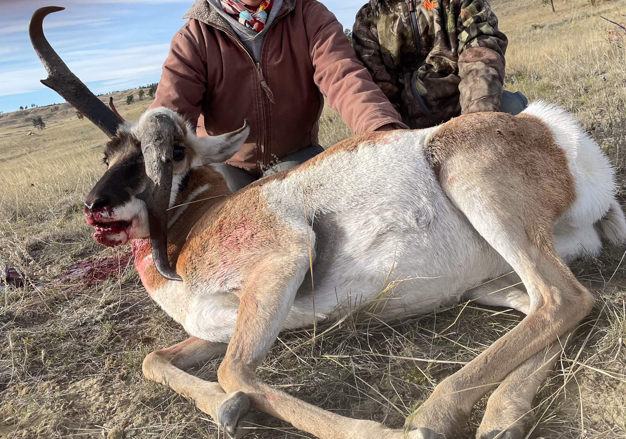 Windancer Ranch | | Custer, Montana