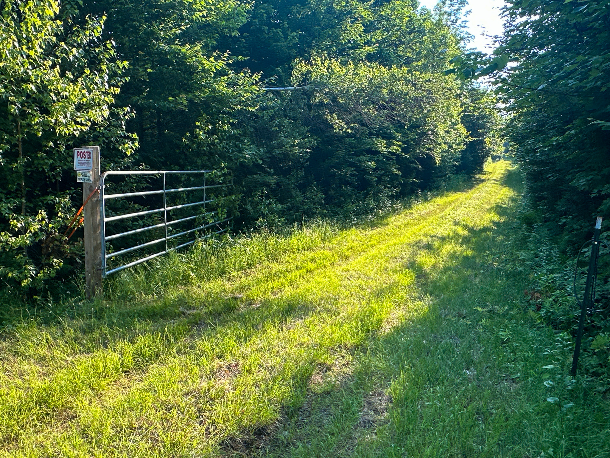 Maine Hunting and Recreational Timberland for Sale | 152± Acres in Carroll Plantation