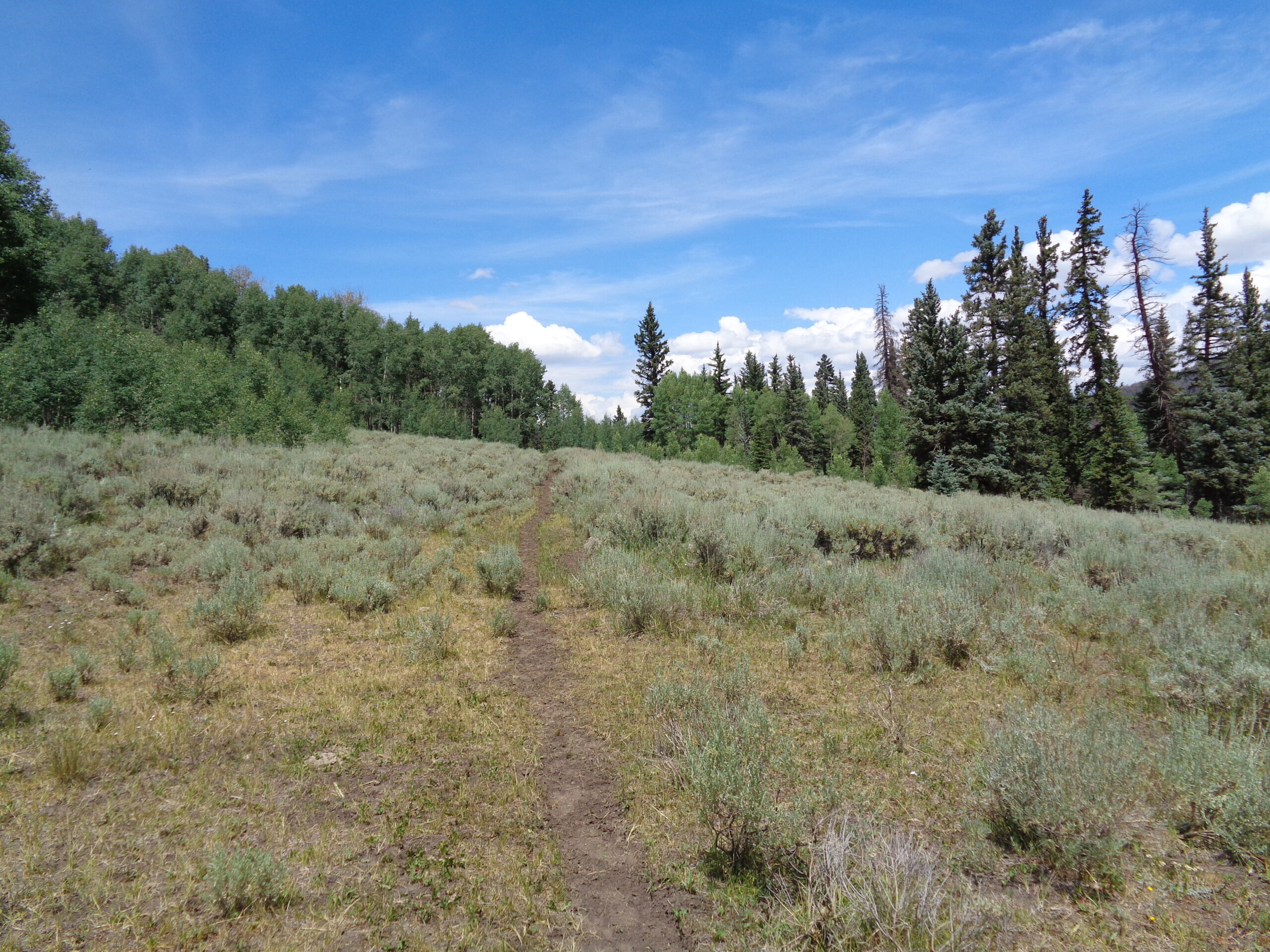 Cabin For Sale on 73 Acres in Colorado in GMU 66