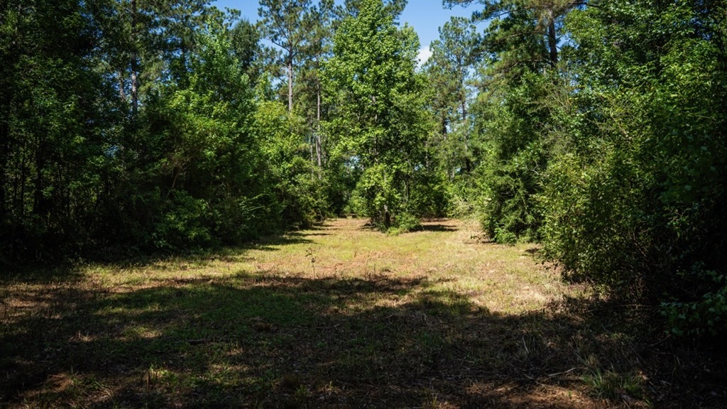 Osyka MS Hunting Land with Pond – Pike 38