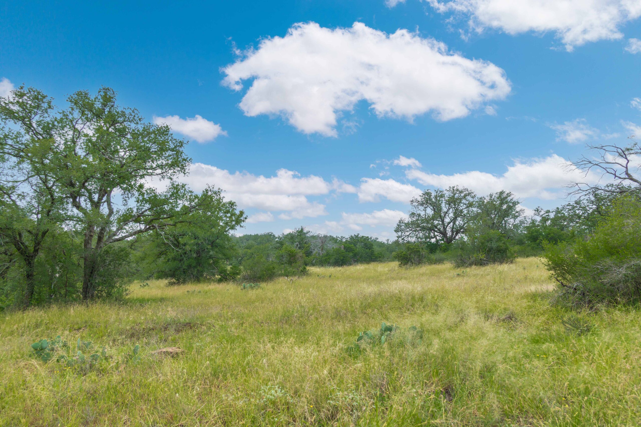 Country Ranch and hunting paradise on 333.17 acres in San Saba County for sale