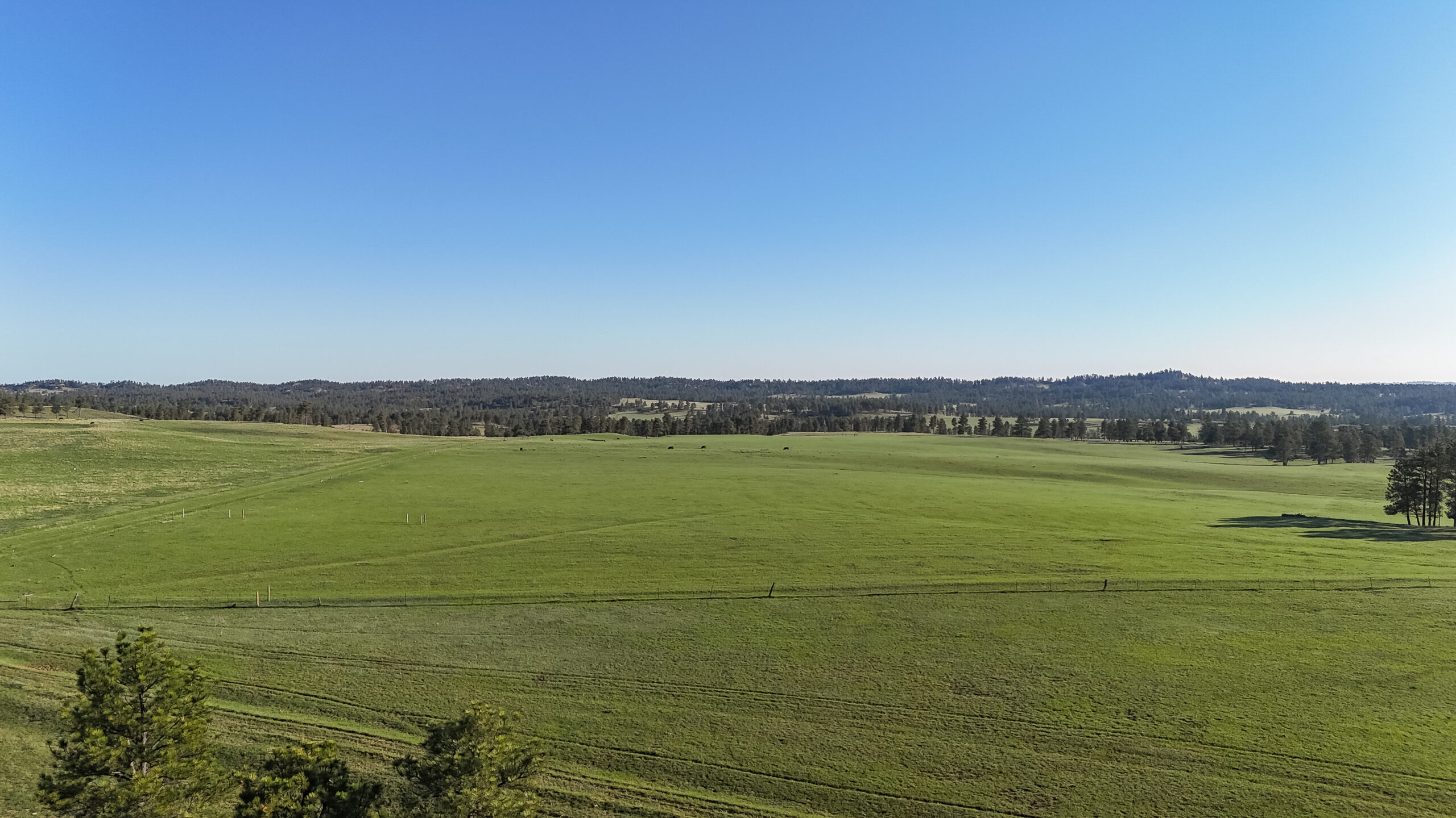 Windancer Ranch | | Custer, Montana