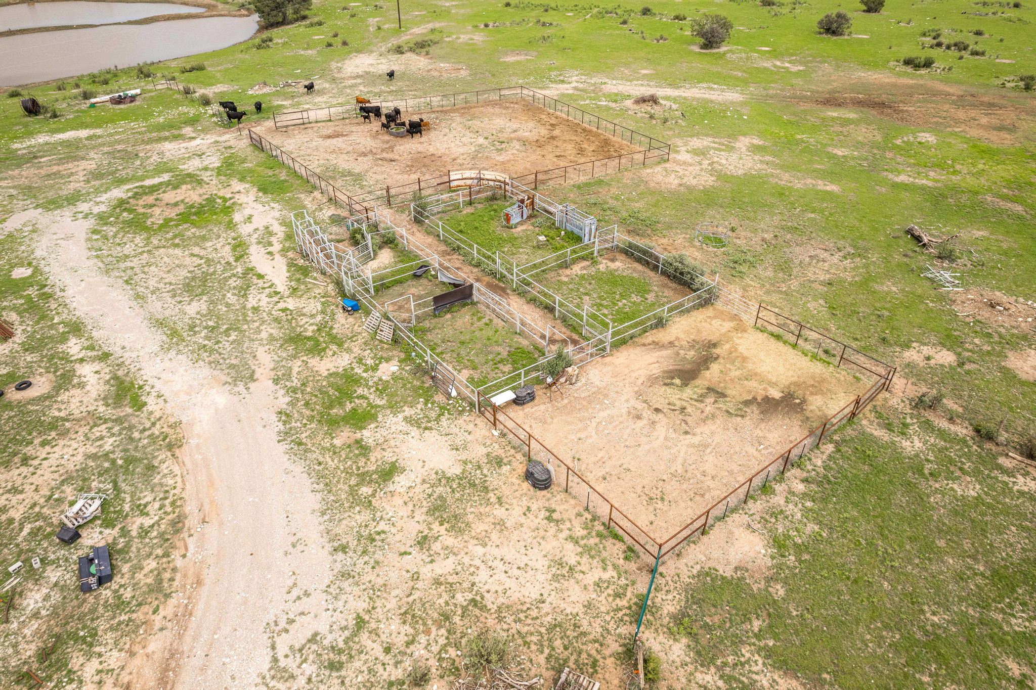 Cattle & Hunting Ranch for Sale in Weed, NM